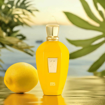 Erba Gold di Xerjoff – Eau de Parfum