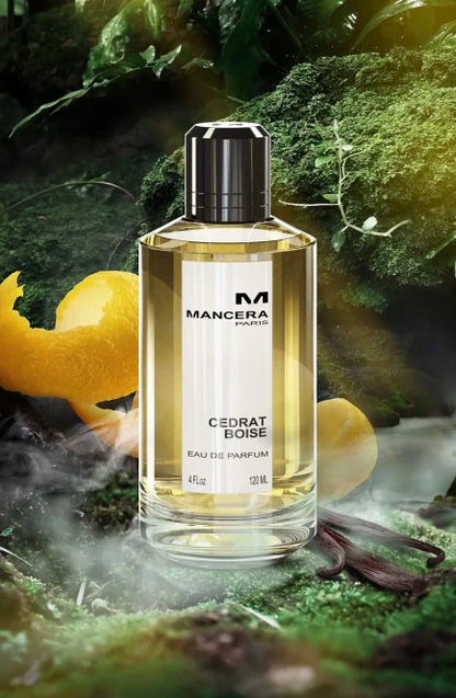Mancera Cedrat Boise - Eau De Parfum (Tester) - AntheaProfumi